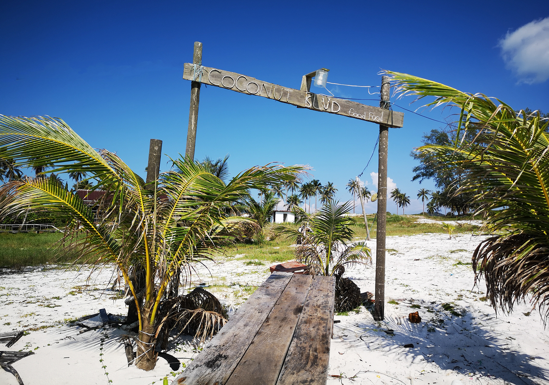 286   Rong Island   Cambodia 2019   007